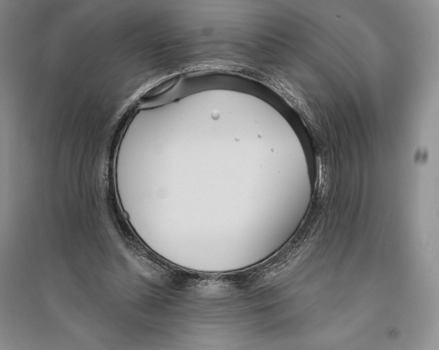 X0000096180348200802151446