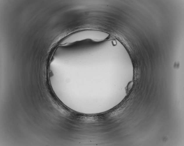 X0000096180349200802151446