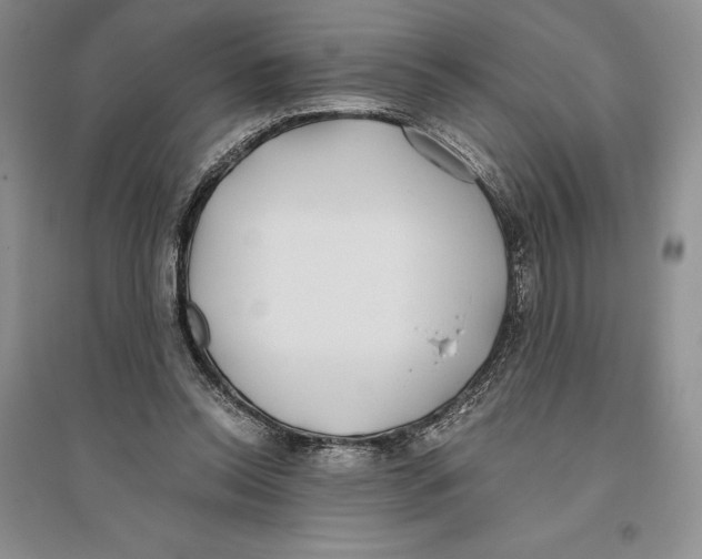 X0000096180350200802151446
