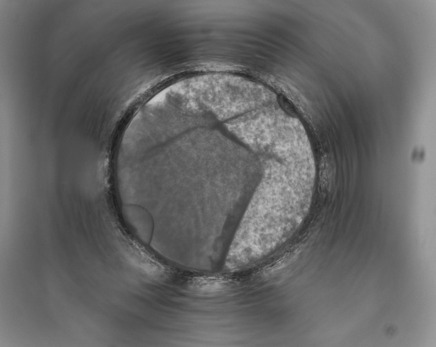 X0000096180351200802151446
