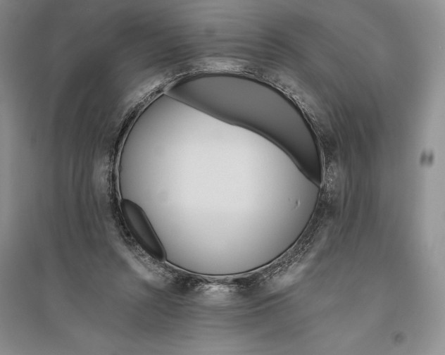 X0000096180352200802151446