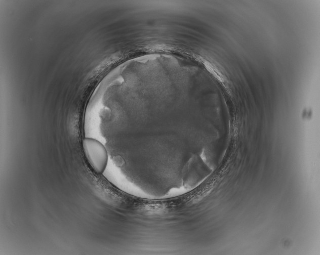 X0000096180353200802151446