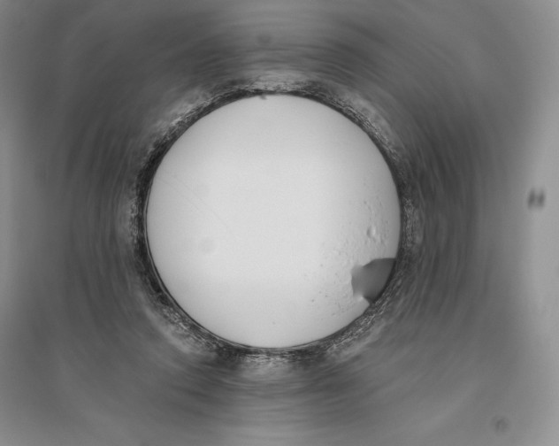 X0000096180354200802151446