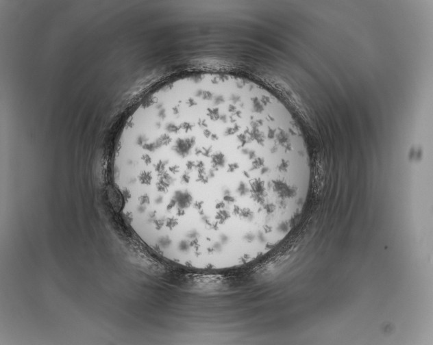 X0000096180355200802151446
