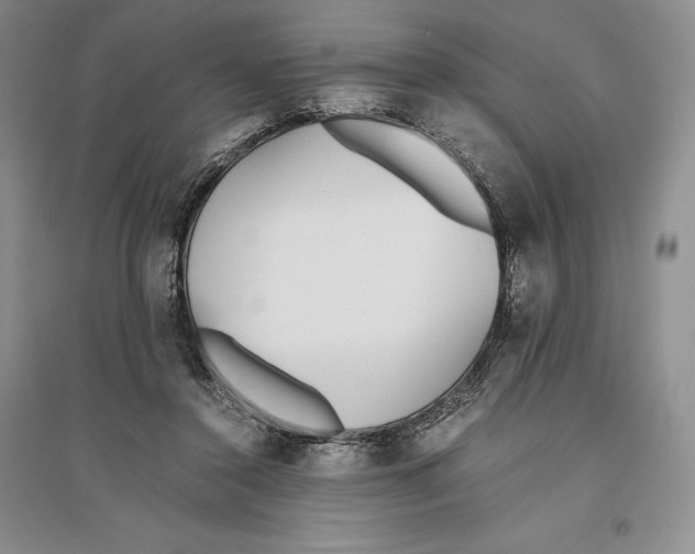 X0000096180356200802151446