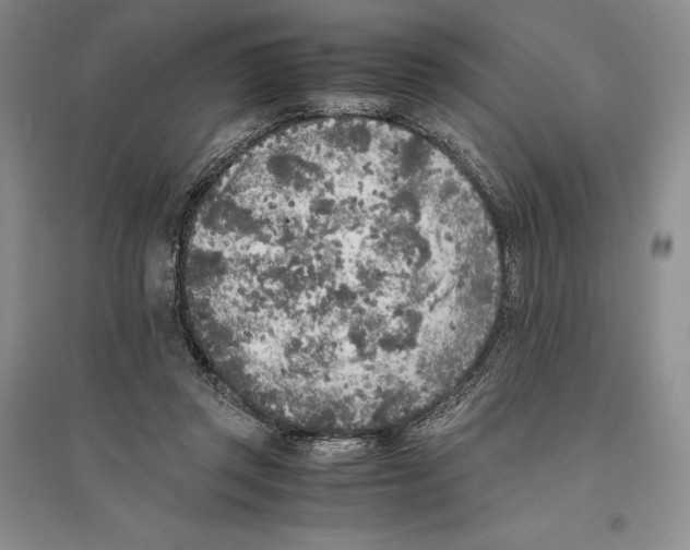 X0000096180357200802151446