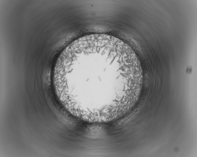 X0000096180358200802151446