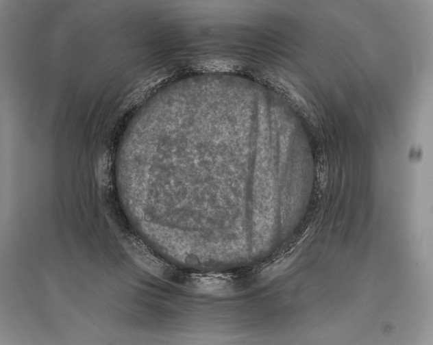 X0000096180359200802151446