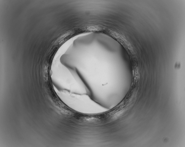 X0000096180360200802151446