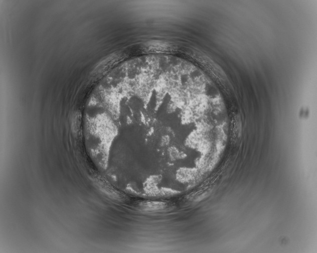 X0000096180361200802151446