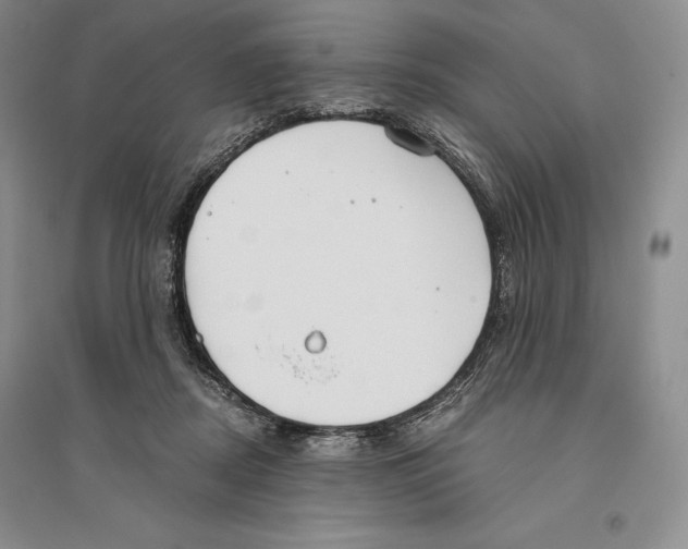 X0000096180362200802151446