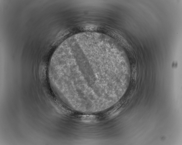 X0000096180363200802151446