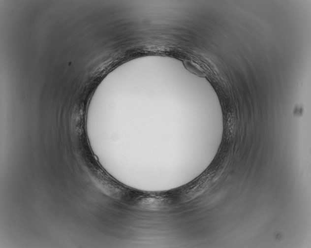 X0000096180364200802151447