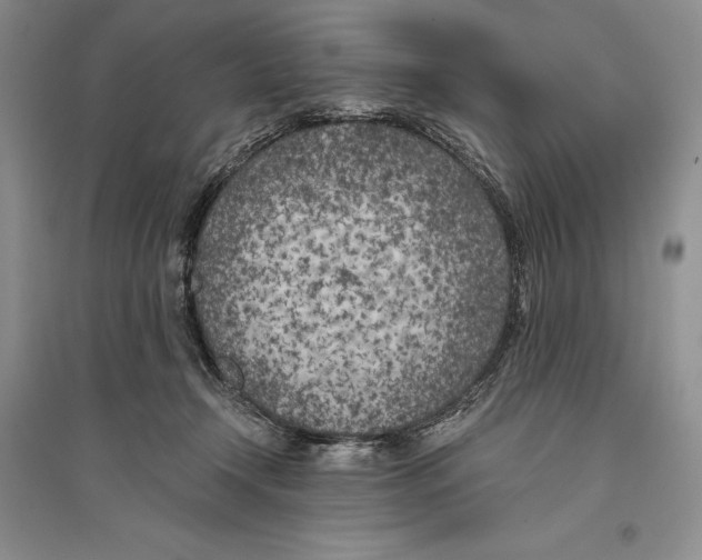 X0000096180366200802151447