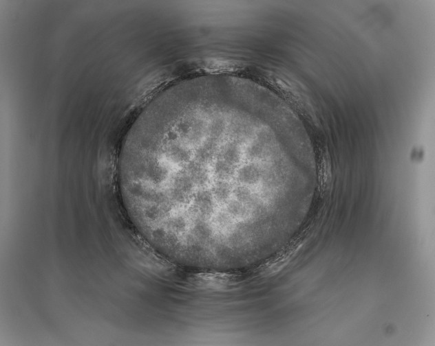 X0000096180367200802151447