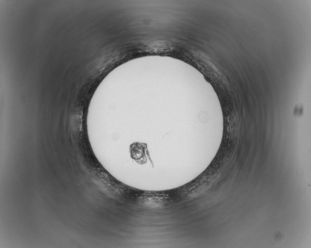 X0000096180368200802151447