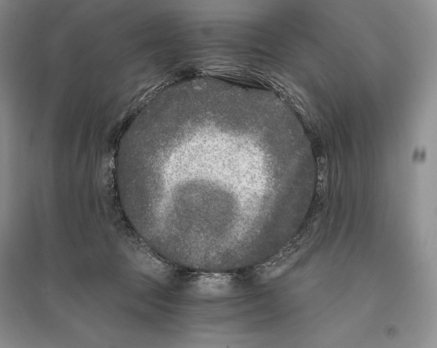 X0000096180369200802151447
