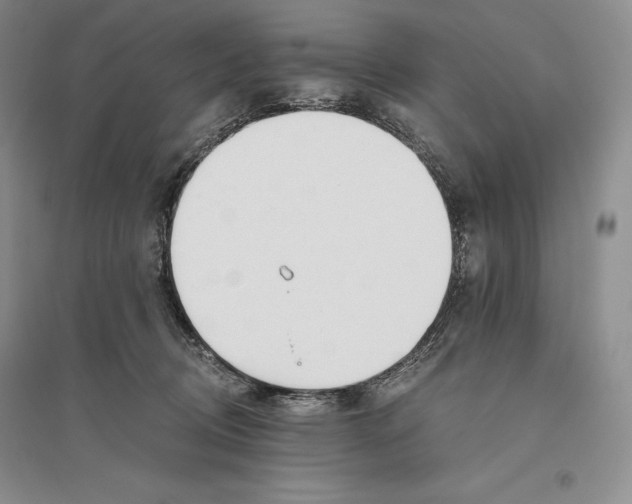 X0000096180370200802151447