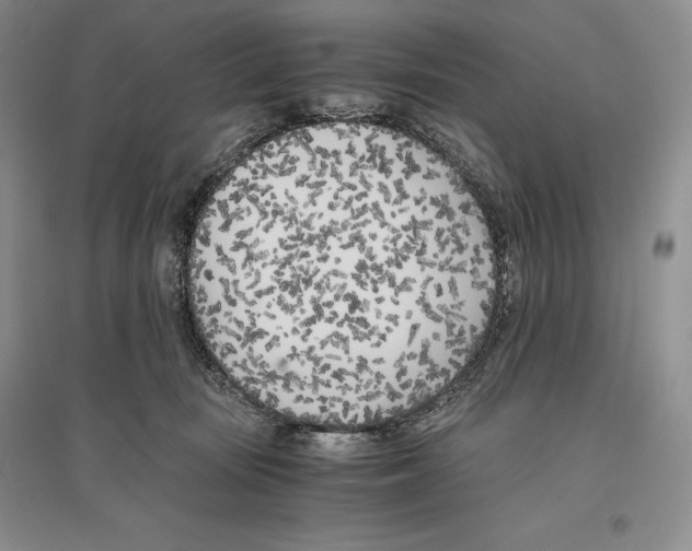 X0000096180371200802151447