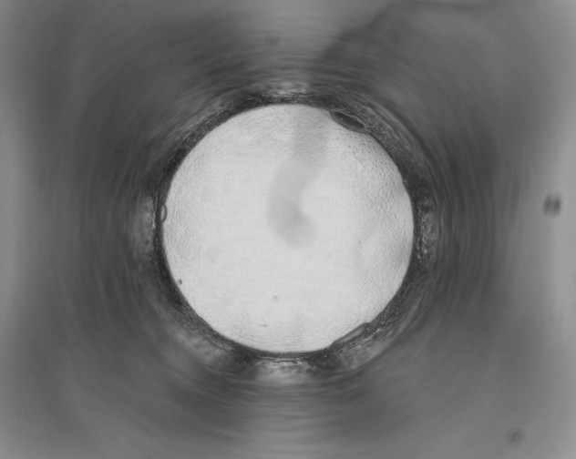 X0000096180372200802151447