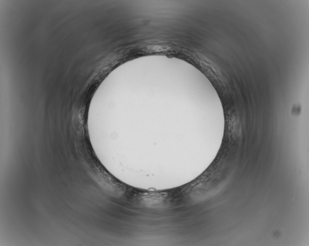 X0000096180373200802151447