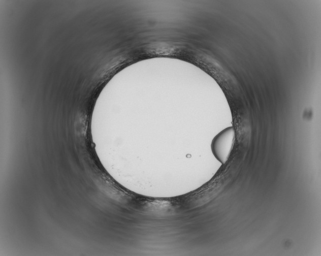 X0000096180374200802151447