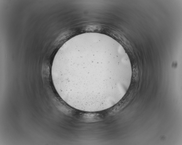 X0000096180375200802151447