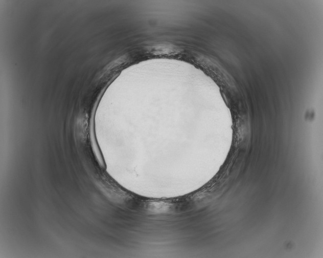 X0000096180376200802151447