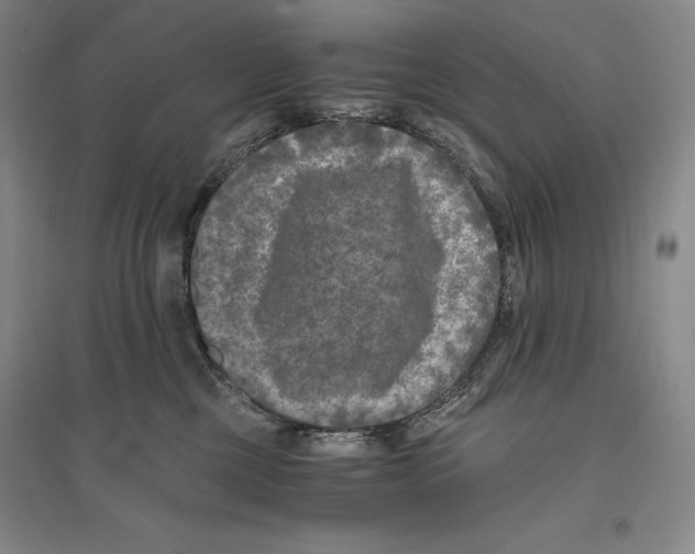 X0000096180377200802151447