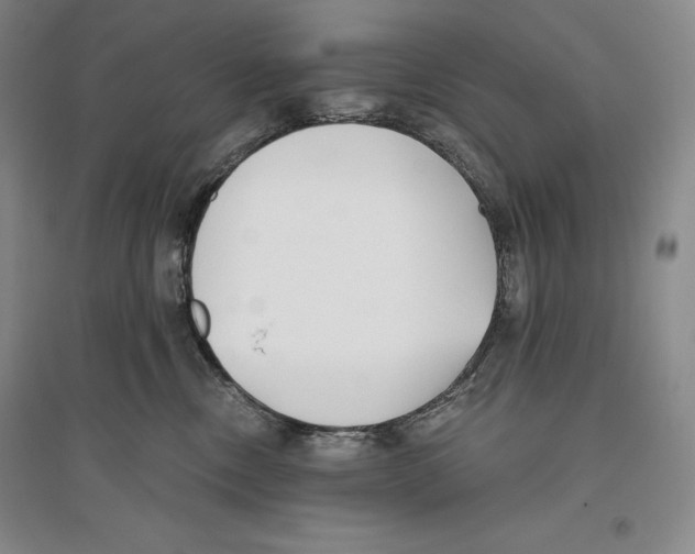 X0000096180378200802151447
