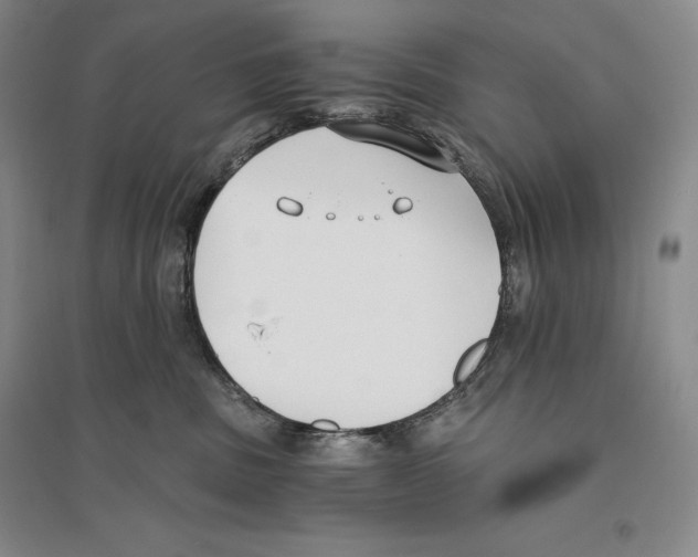 X0000096180379200802151447