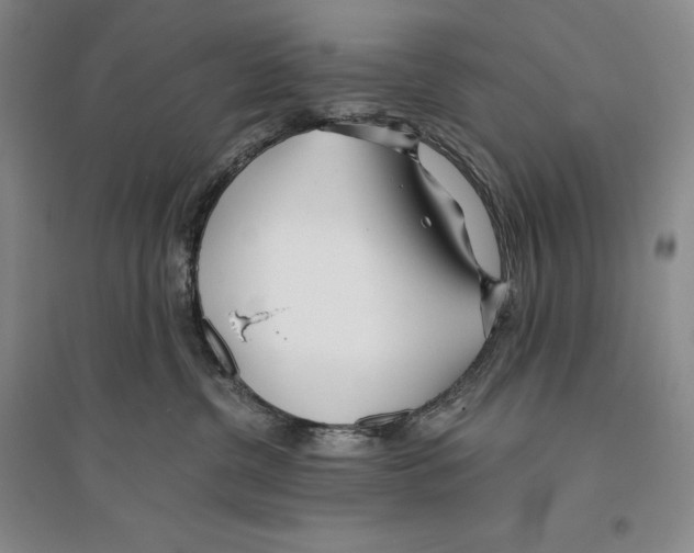 X0000096180380200802151447