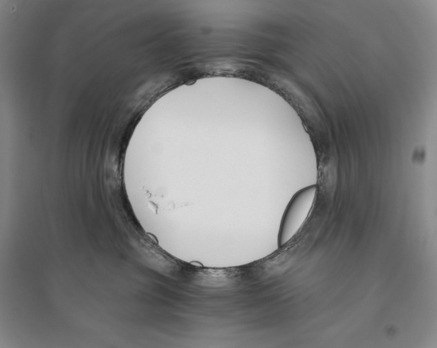 X0000096180381200802151447