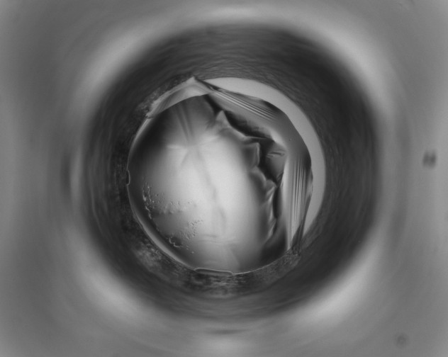X0000096180382200802151447