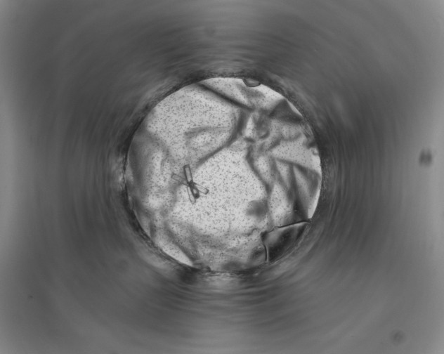 X0000096180383200802151447