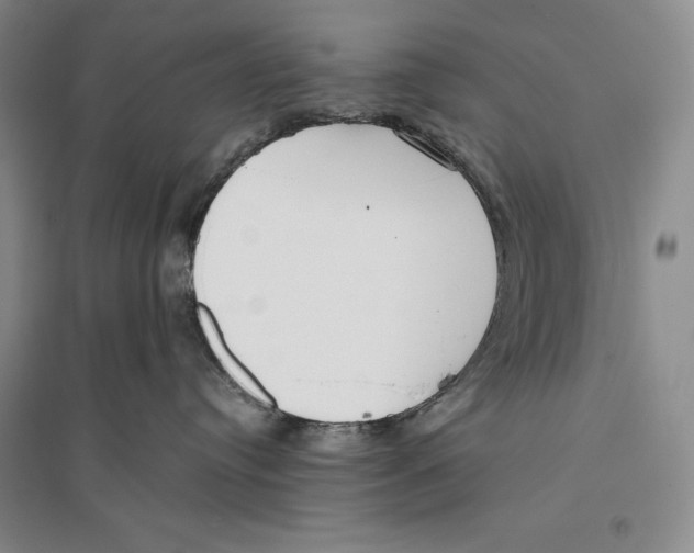 X0000096180384200802151447