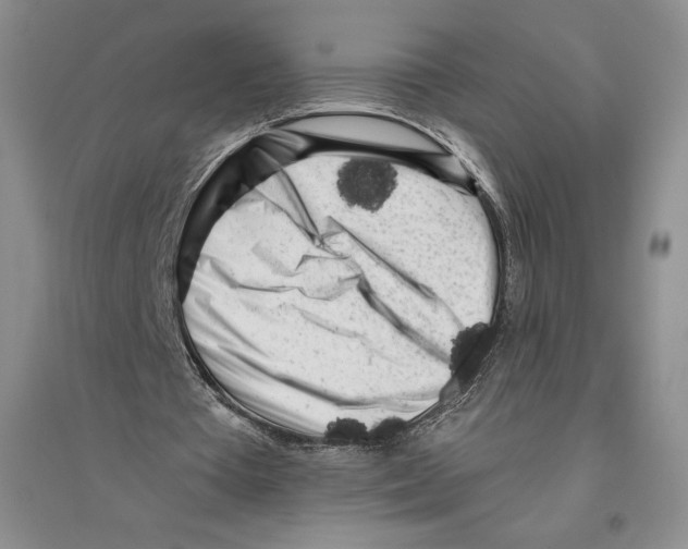 X0000096180385200802151446