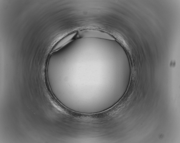 X0000096180389200802151446