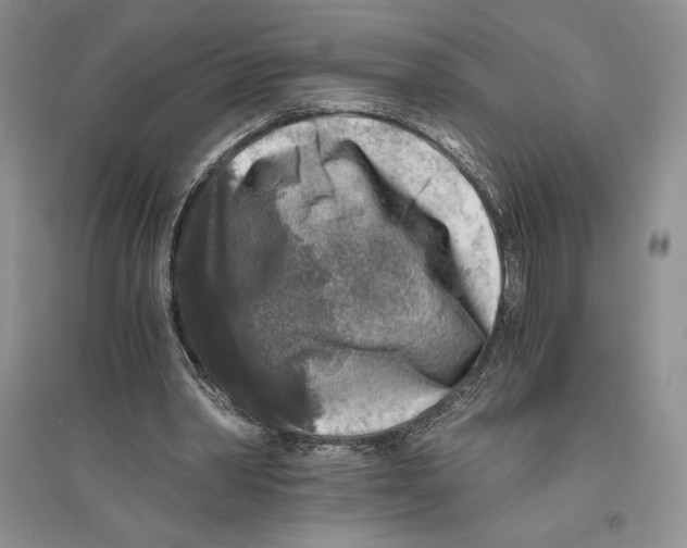 X0000096180390200802151446