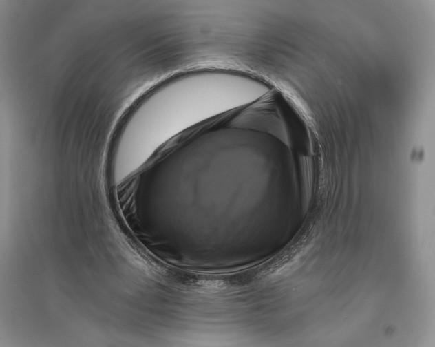 X0000096180391200802151446