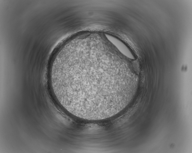 X0000096180392200802151446