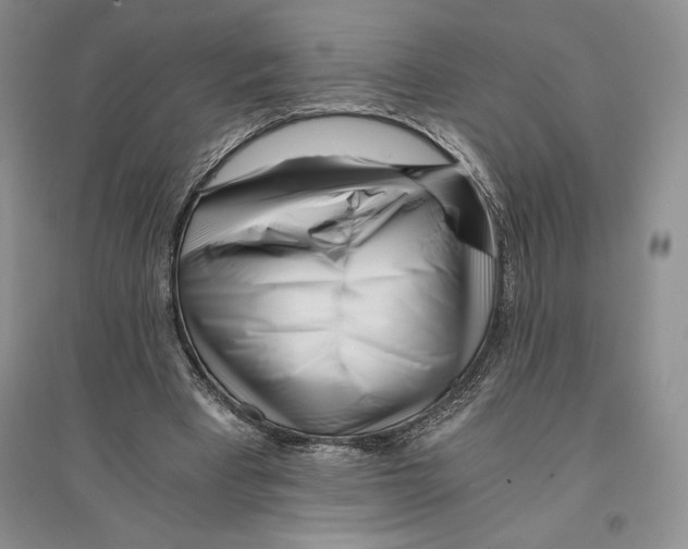 X0000096180393200802151446