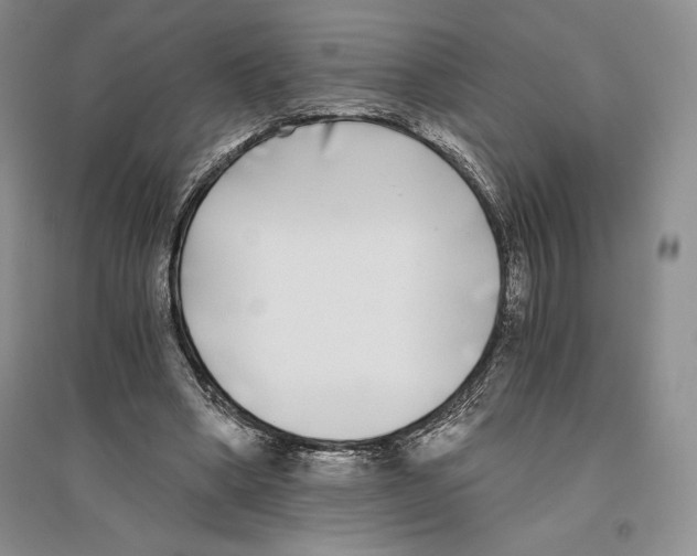 X0000096180394200802151446