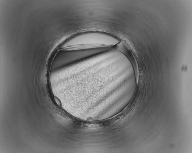 X0000096180395200802151446