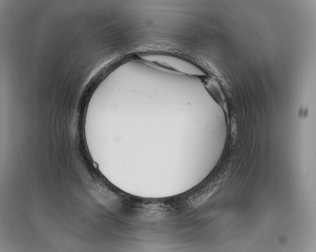 X0000096180396200802151446