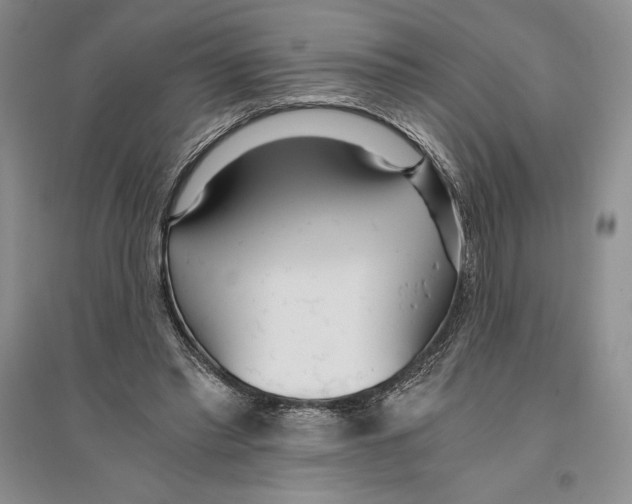X0000096180397200802151446
