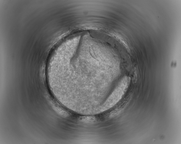 X0000096180398200802151446