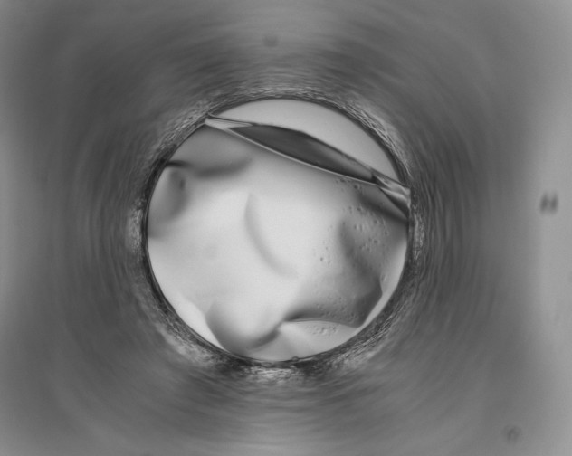 X0000096180401200802151446