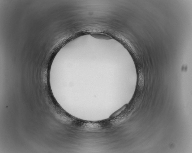 X0000096180403200802151446