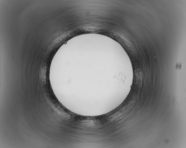 X0000096180404200802151446